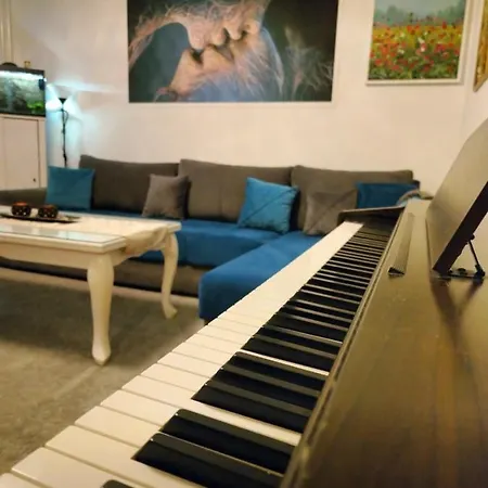 Luxury Apartment